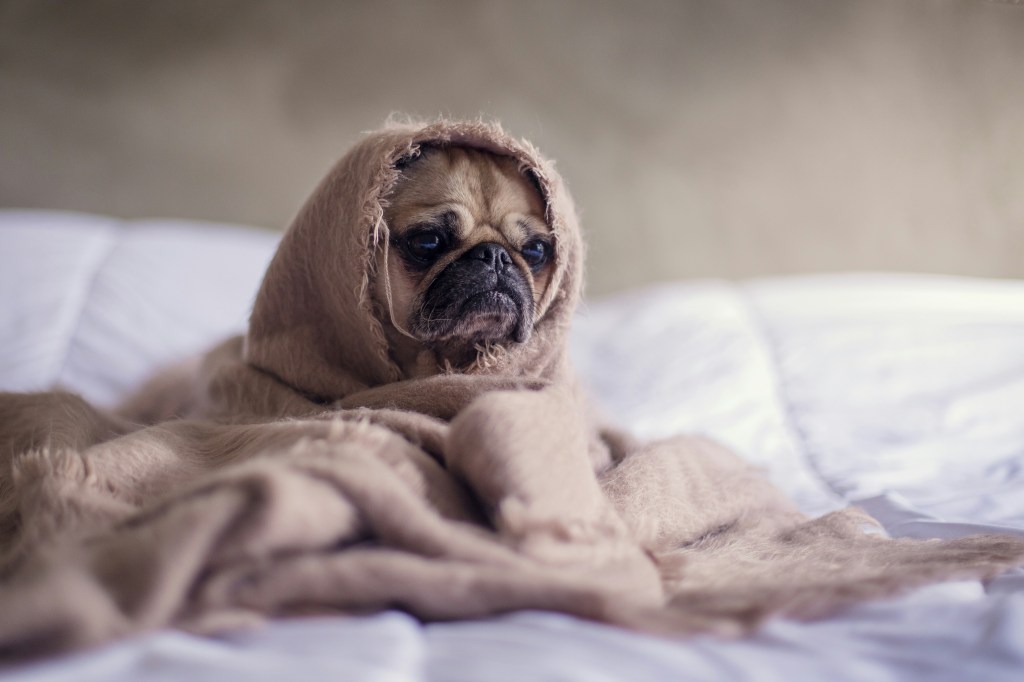 Why Your Space Makes You Feel Anxious